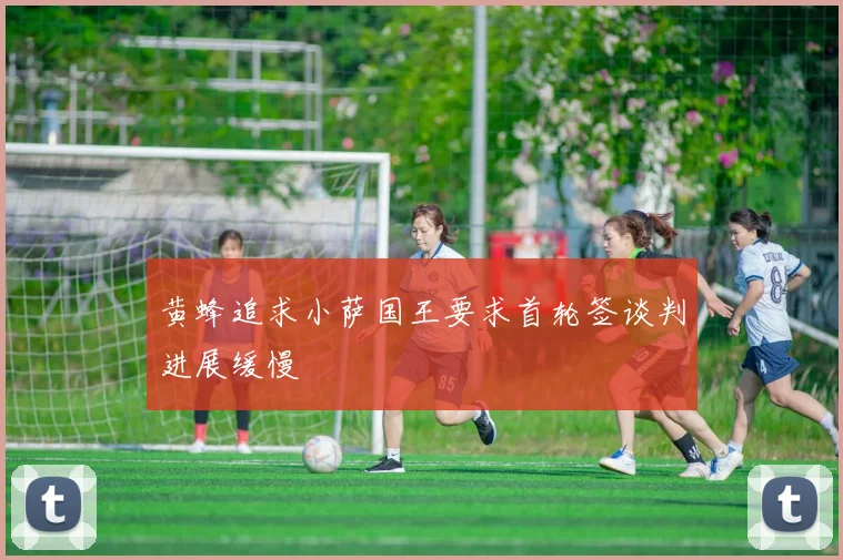 黄蜂追求小萨国王要求首轮签谈判进展缓慢